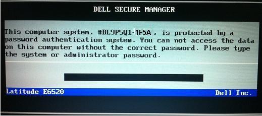 dell 1f5a master password